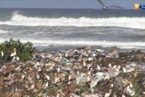 طالع هابط: البيئة مخروبة في بجاية