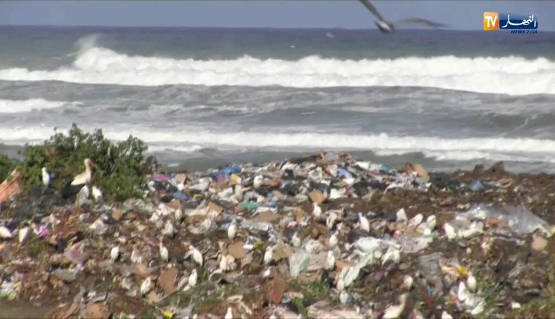 طالع هابط: البيئة مخروبة في بجاية