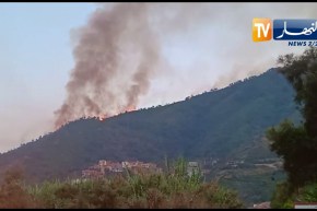 اندلاع حرائق بكل من تيشي أدكار وبحاية والنيران تقترب من المنازل