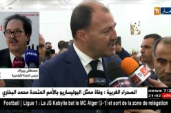 ولد علي.. مهندس التغييرات والصراعات خارج وزارة الشباب والرياضة