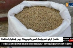 تجارة: أسعار البقوليات تنخفض في الأسواق العالمية و ترتفع في الجزائر ..أي تفسير؟