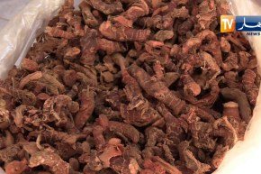 مجتمع: الزعتر والشيح يتصدران قائمة مشروبات فصل الشتاء لمقاومة برودة الطقس