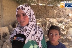 غليزان:  خيرة ..  تعود لقريتها بعد 20 سنة وتحقق مشروعها الفلاحي