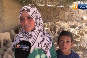 غليزان:  خيرة ..  تعود لقريتها بعد 20 سنة وتحقق مشروعها الفلاحي