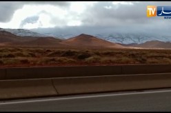 صور ساحرة لتساقط الثلوج بصحراء “النعامة “