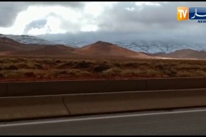 صور ساحرة لتساقط الثلوج بصحراء “النعامة “