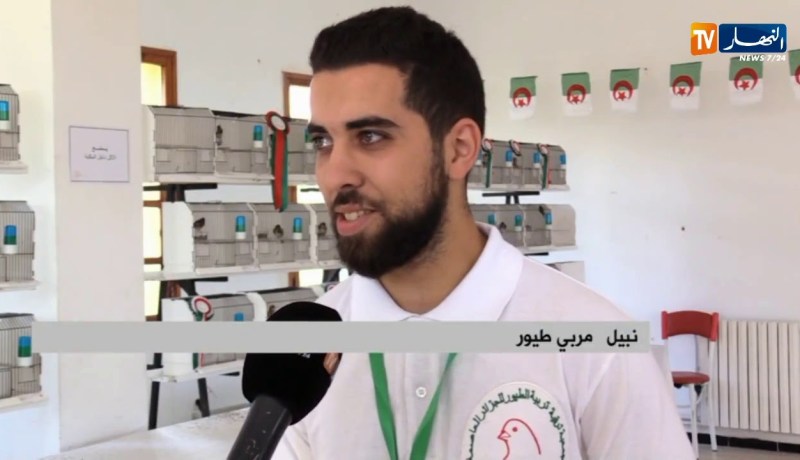 الطائر الحسون “المقنين” ..نحو حماية معشوق الشباب الجزائري