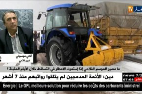 خبير فلاحي: إذا إستمرت الأمطار في التساقط سيتكبد الفلاحون خسار كبير في المحاصيل الزراعية