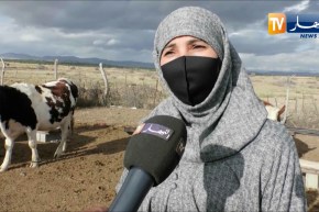 تبسة: نوال .. نموذج سيدة ناجحة بمشروع الفلاحة الجبلية بواد البسباس