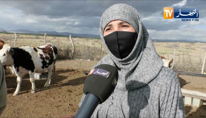تبسة: نوال .. نموذج سيدة ناجحة بمشروع الفلاحة الجبلية بواد البسباس