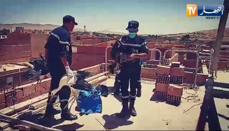 البيض: عناصر الحماية المدنية يقومون بإنقاذ وإسعاف طائر اللقلق سقط من عشه