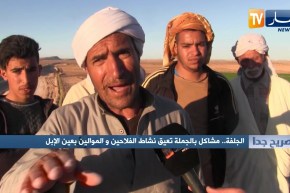 صريح جدا / الجلفة.. مشاكل بالجملة تعيق نشاط الفلاحين والموالين بعين الإبل