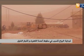 غرداية: الرياح تتسبب في سقوط أعمدة الكهرباء و أشجار النخيل