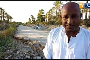 الوادي: كارثة بيئية في منطقة البدع الجديد الفلاحية بعد انفجار قناة الصرف الصحي وسط الغابات