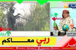 طالع هابط: الشيخ النوي يشارك أفراد الحماية المدنية في عمليات إخماد حرائق الغابات