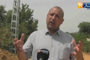 سكيكدة: إنطلاق عملية ربط 280 مستثمرة فلاحية بالكهرباء الفلاحية