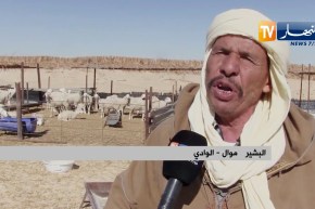 الوادي: موالون يدقون ناقوس الخطر لتسجيل حالات لنفوق غنم وماعز