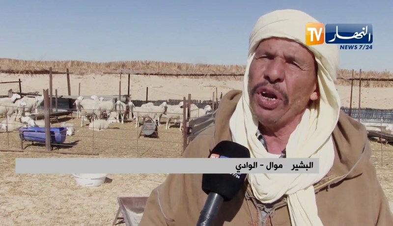 الوادي: موالون يدقون ناقوس الخطر لتسجيل حالات لنفوق غنم وماعز