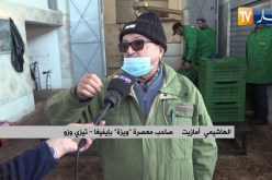 تيزي وزو: معاصر تصل للعالمية بإنتاج زيت زيتون بكر ممتاز