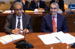 صناعة: إستراتيجية لتطوير أداء المجمعات الصناعية وترقية تصدير منتجاتها