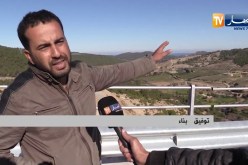 غش في إنجاز جسر على الطريق الرابط بين شرشال وسيدي غيلاس..