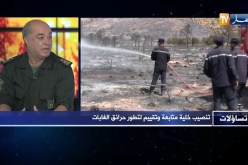 رشيد بن عبد الله: 80% من الأماكن الغابية موجودة في تضاريس وعرة وهذا ما صعب مهمتنا