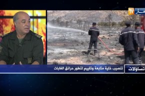 رشيد بن عبد الله: 80% من الأماكن الغابية موجودة في تضاريس وعرة وهذا ما صعب مهمتنا