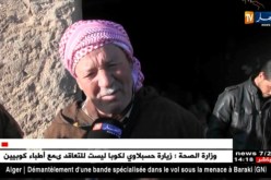 أم البواقي: أكثر من 20 ألف رأس من الماشية دون دعم للشعير العلفي بالجازية