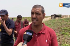 غليزان: مستقبل شعبتي البطاطا والطماطم في خطر والسبب نقص مياه السقي