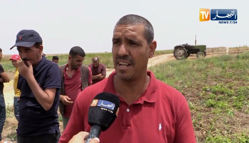 غليزان: مستقبل شعبتي البطاطا والطماطم في خطر والسبب نقص مياه السقي