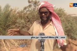 عين صالح: مشروع قنوات الصرف الصحي   يكبد فلاحي المنصورة خسائر كبيرة