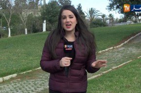 أحوال الطقس / هبوب رياح قوية نسبيا تتعدّى الـ50 كلم على السواحل والمناطق الغربية