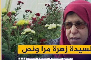 مرا ونص:  السيدة زهرة  .. إمرأة حديدية تصارع السرطان