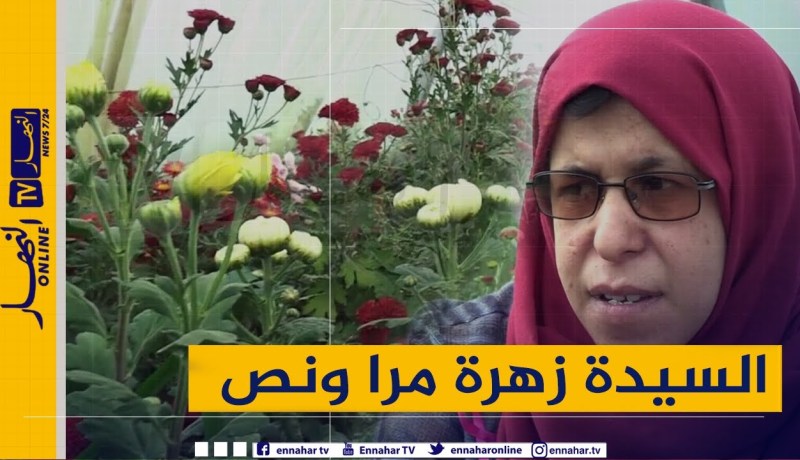 مرا ونص:  السيدة زهرة  .. إمرأة حديدية تصارع السرطان