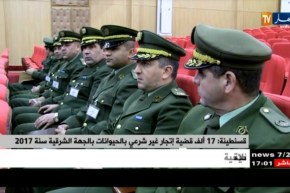 قسنطينة: 17 ألف قضية إتجار غير شرعي بالحيوانات بالجهة الشرقية سنة 2017