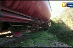 سكيكدة : إنحراف عربات قطار نقل البضائع بمنطقة رمضان جمال