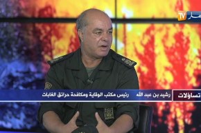 تساؤلات: أكثر من 600 هكتار خسائر الحرائق خلال 24 ساعة