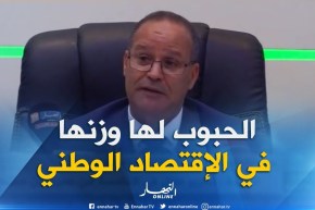 بوعزقي: “إنتاج الحبوب عرف إرتفاع ملحوظ بنسبة 63 بالمائة مقارنة بالسنة الماضية”