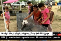 فلاحة: تربية الطيور هواية نادرة لدى بعض الشباب