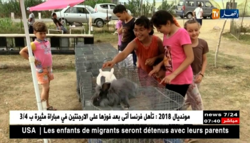 فلاحة: تربية الطيور هواية نادرة لدى بعض الشباب