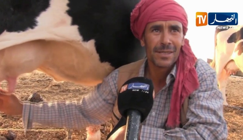 سعيدة: غياب الكهرباء الريفية يعيق تربية الأبقار وإنتاج الحليب بمنطقة صوانة لرباع