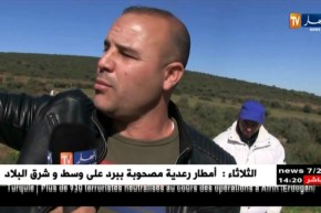 قالمة/ غياب الكهرباء يرهن نشاط مستثمرين في تربية الدّواجن ببلدية النشماية