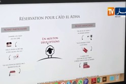 فرنسا: ألو موتون.. خدمة لتوفير الأضاحي للجالية المسلمة