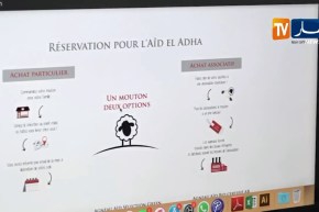 فرنسا: ألو موتون.. خدمة لتوفير الأضاحي للجالية المسلمة