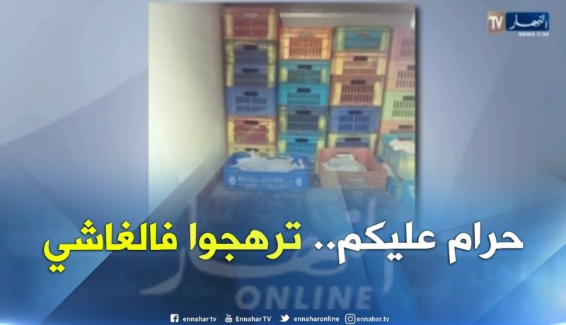 البيض: حجز قرابة 3 قناطير من الدجاج غير المراقب