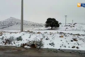 ولاية سيدي بلعباس تكتسي الحلة البيضاء