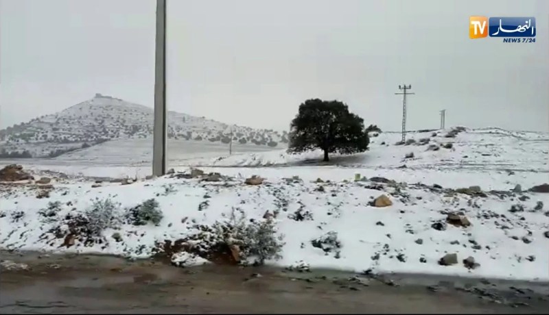 ولاية سيدي بلعباس تكتسي الحلة البيضاء