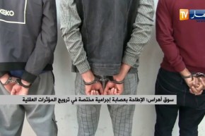 سوق أهراس: الإطاحة بعصابة إجرامية مختصة في ترويج المؤثرات العقلية