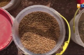 هذا ما عثرت عليه مصالح الدرك الوطني بعد مداهمتها ورشتين لصناعة التوابل والمواد الصيدلانية