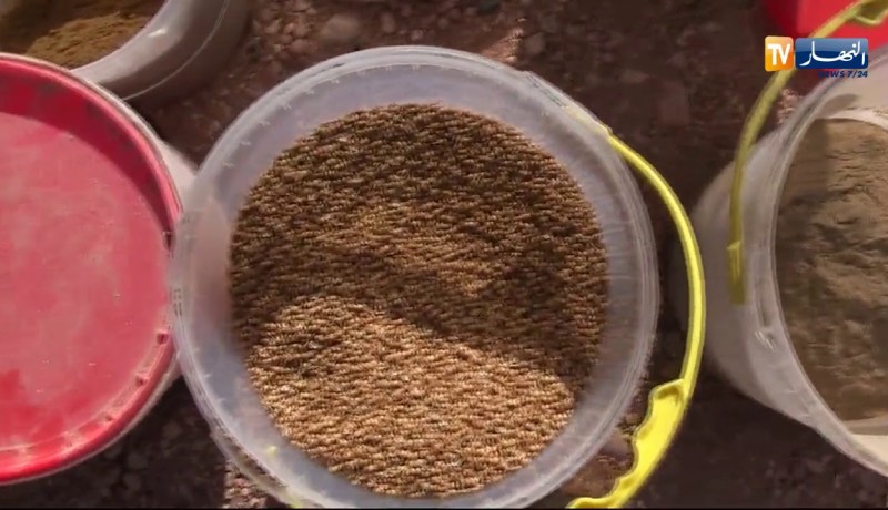 هذا ما عثرت عليه مصالح الدرك الوطني بعد مداهمتها ورشتين لصناعة التوابل والمواد الصيدلانية